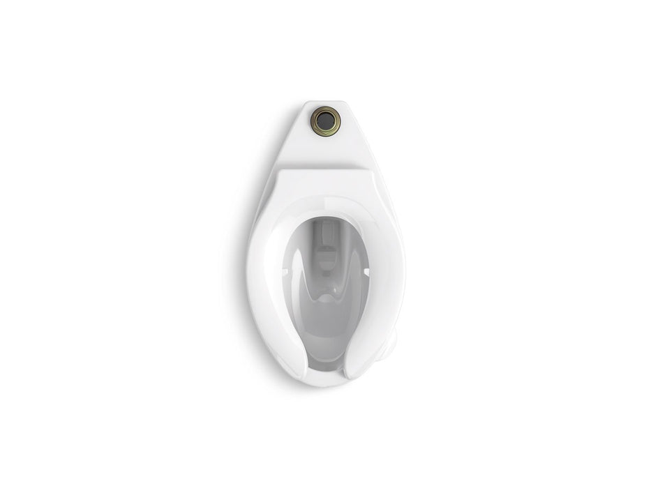 KOHLER K-96057-L Highcliff Floor-mount top spud flushometer bowl with bedpan lugs