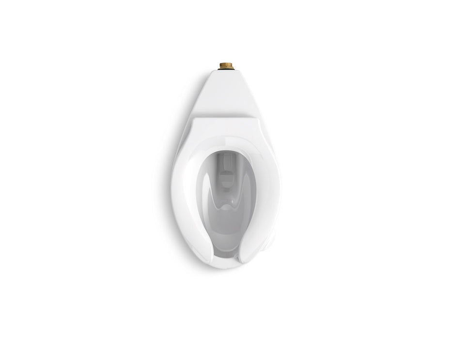 KOHLER K-96058-SS Highcliff Antimicrobial toilet bowl with rear spud