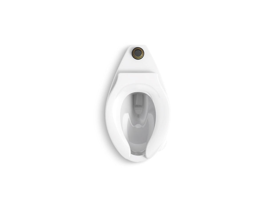 KOHLER K-96059-SS Juvenile Floor-mount top spud antimicrobial flushometer bowl