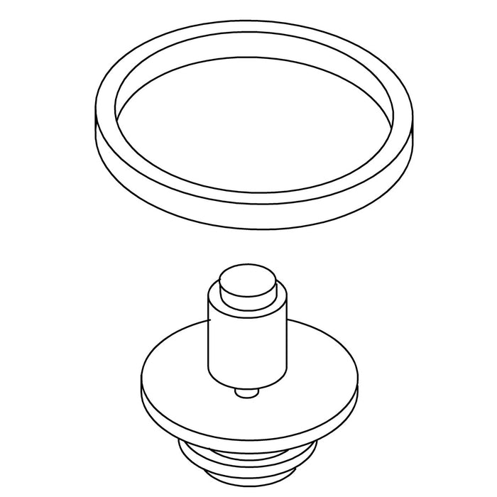 KOHLER K-GP30197 Plunger Sa