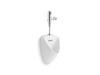 KOHLER K-PR20713-T1D Tend Washout urinal with Mach Tripoint touchless DC 0.125 gpf flushometer