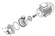 KOHLER K-1016957 Pump Assy, Var. Spd 230V, default title