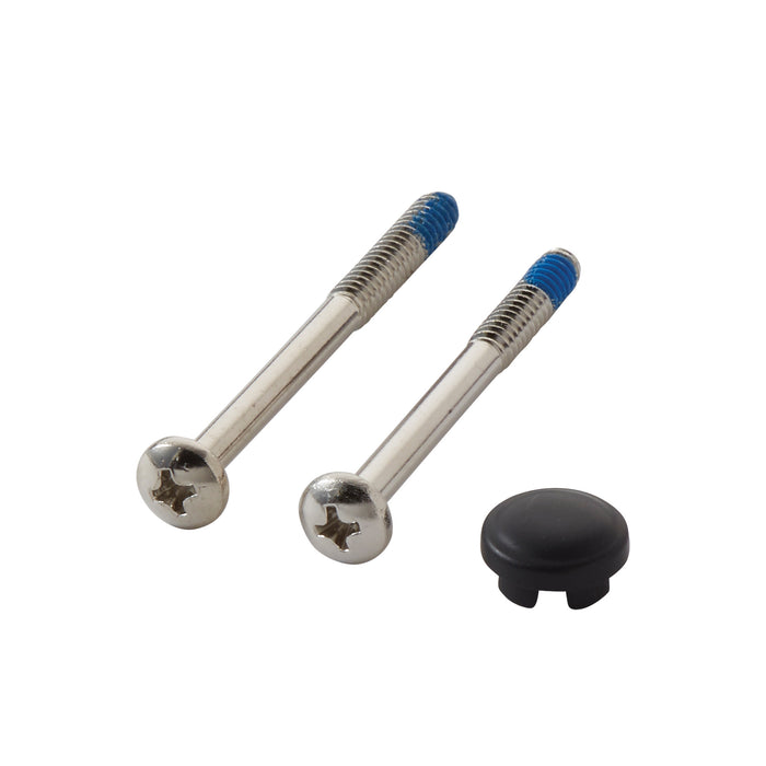 Moen 114343 Handle cap & screw