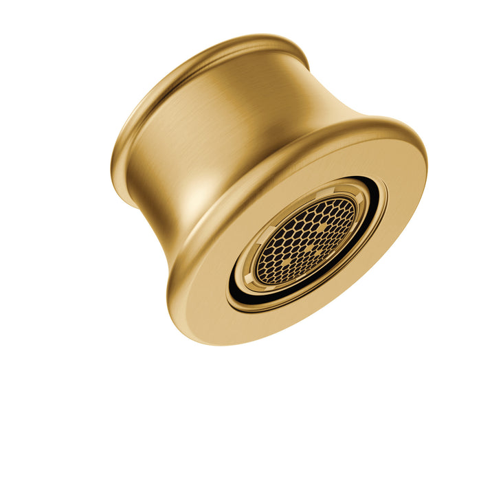 Moen 130970 Aerator kit, brushed gold