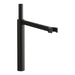 Moen 181929 Swing Arm, matte black