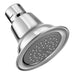 Moen Commercial 5263EP17 Showerhead, chrome