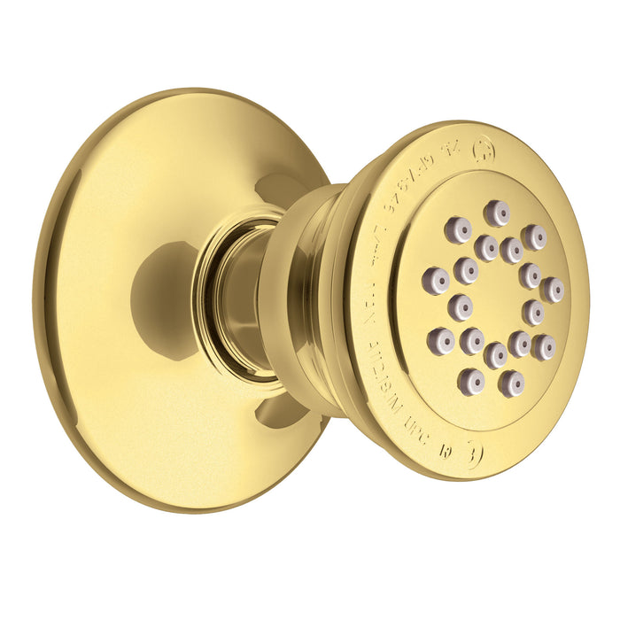Moen A501 Body Spray, polished brass