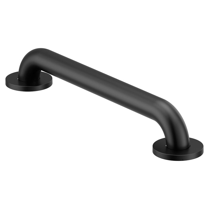 Moen R8916 16" Concealed Screw Grab Bar