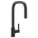 Moen Tenon S74001 One-Handle Pulldown Kitchen Faucet