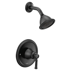Moen Dartmoor T2182 Posi-Temp(R) shower only