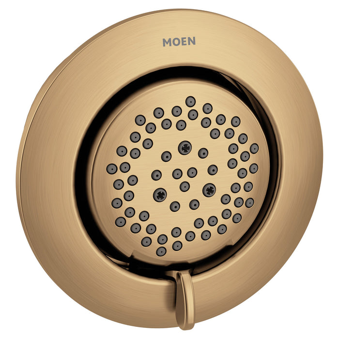 Moen Mosaic TS1422 Body spray