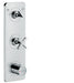 AXOR Citterio E Thermostatic Module Trim 15" x 5" for 2 Functions