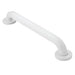 Moen  24" Concealed Screw Grab Bar