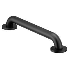 Moen 16" Concealed Screw Grab Bar