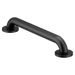 Moen 16" Concealed Screw Grab Bar