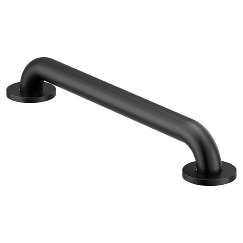 Moen 18" Concealed Screw Grab Bar