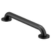 Moen 18" Concealed Screw Grab Bar