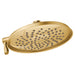 two-function 9" diameter spray head eco-performance rainshower
