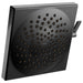 two-function 8-1/2" diameter spray head eco-performance rainshower