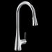 Moen  One-Handle Pulldown Kitchen Faucet