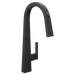 Moen  One-Handle Pulldown Kitchen Faucet