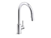 Sterling 34462 Traverse Pull-down Kitchen Sink Faucet with Two-functio