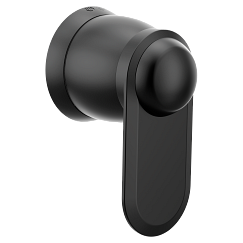 Moen Volume Control