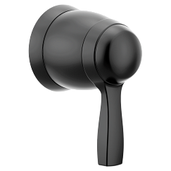 Moen Volume Control