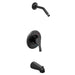 Moen Ash T58913NH Cycling Tub/Shower
