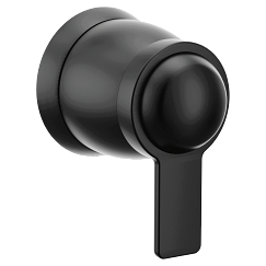 Moen Volume Control