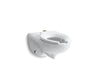 KOHLER K-4325-L Kingston Wall-mount top spud flushometer bowl with bedpan lugs