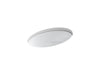 KOHLER K-2907-8U-0 Thoreau Undermount bathroom sink with oversize 8" widespread faucet holes