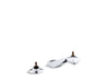 KOHLER 7443-K-CP Triton Widespread Commercial Bathroom Sink Faucet, Drain Not Included And Lift Rod, Requires Handles in Polished Chrome