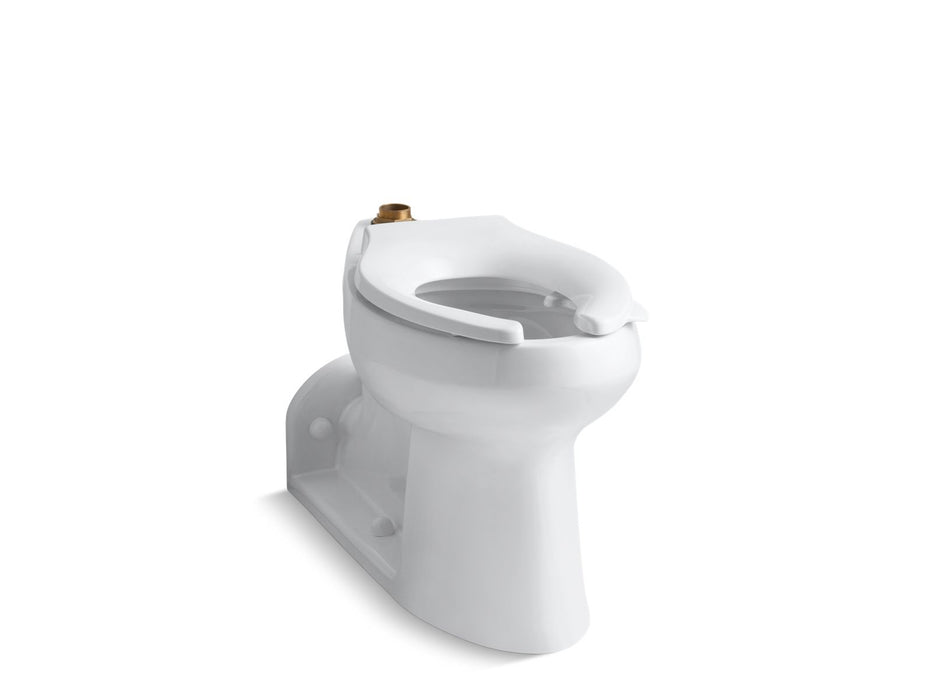 KOHLER K-4352-L Anglesey Floor-mount top spud flushometer bowl with bedpan lugs