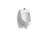 KOHLER K-5452-ET Dexter Washout wall-mount 0.125 gpf urinal with top spud