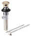 KOHLER Premier Drain With Overflow