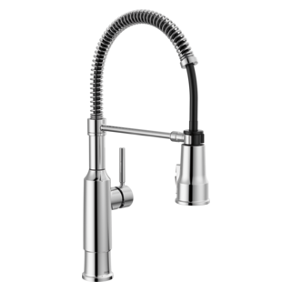 Delta Theodora: Single-Handle Pull-Down Spring Kitchen Faucet