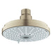 Grohe Rainshower cosmopolitan 160 Shower Head