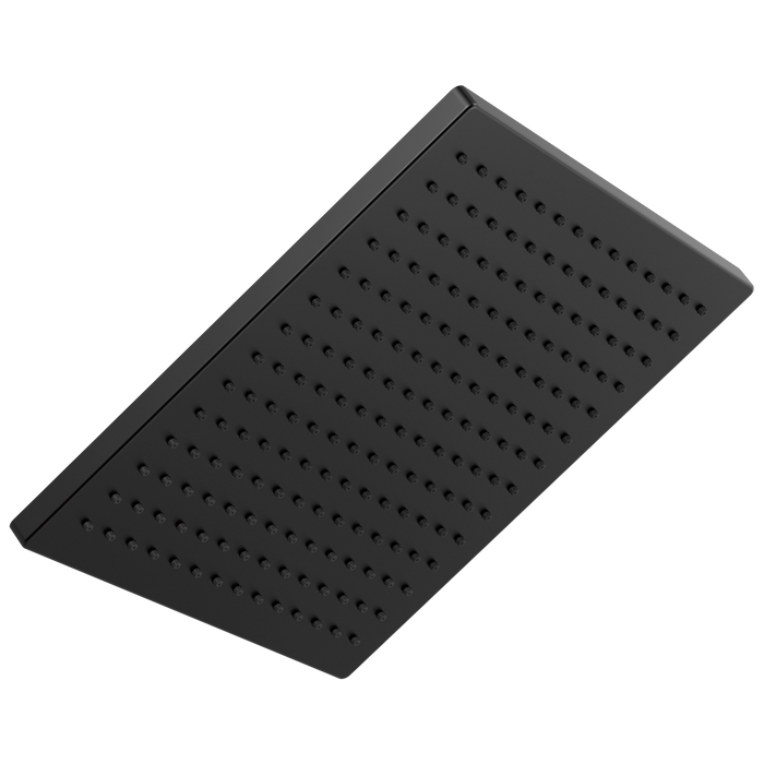 Delta 52159-25 Single-Setting Metal Raincan Shower Head