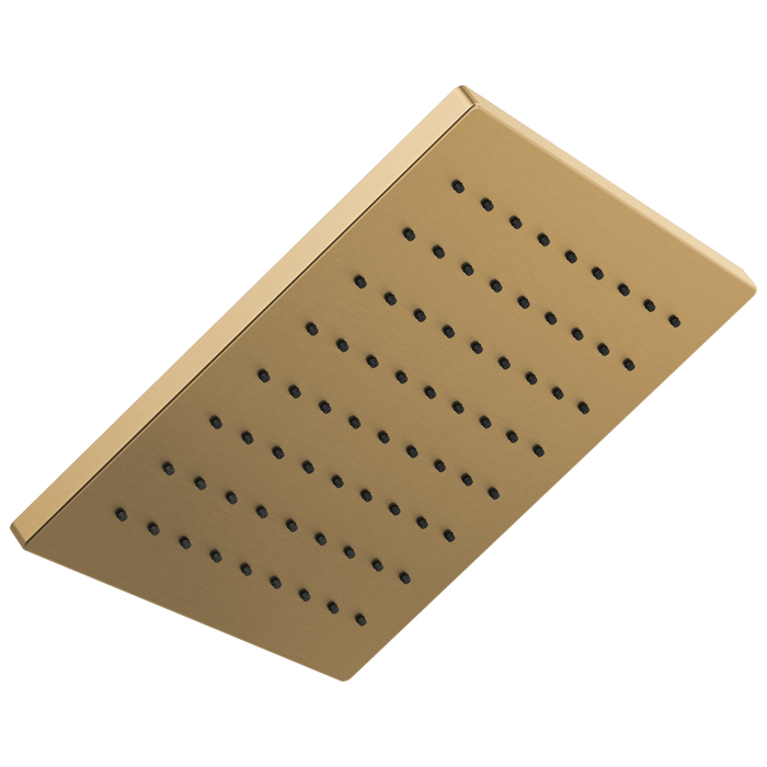 Delta Universal Showering Components: Single-Setting Metal Raincan Shower Head