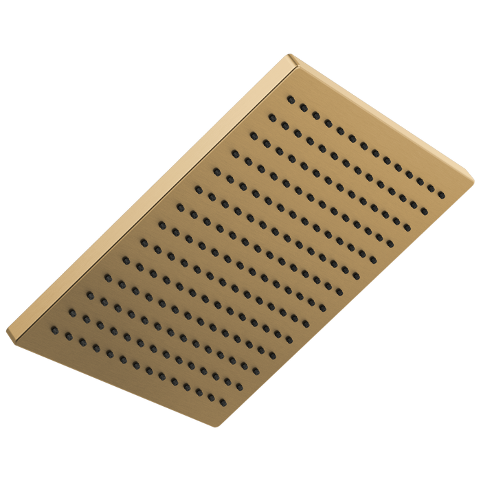 Delta 52159-25 Single-Setting Metal Raincan Shower Head