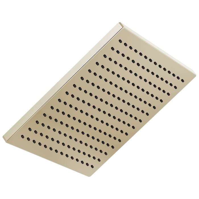 Delta 52159-25 Single-Setting Metal Raincan Shower Head