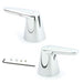 Moen Handle Kit