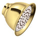Moen Single - Function 4 - 3/8" Diameter Showerhead in Polished Brass