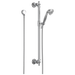 BRIZO Traditional: Traditional Hand Shower with Slide Bar