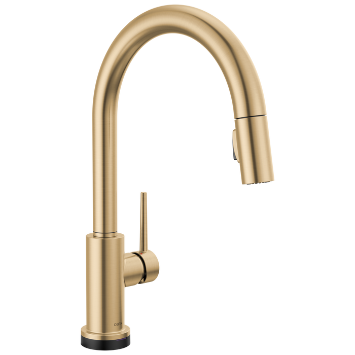 Delta Trinsic: VoiceIQ Kitchen Faucet with Touch2O with Touchless Technology