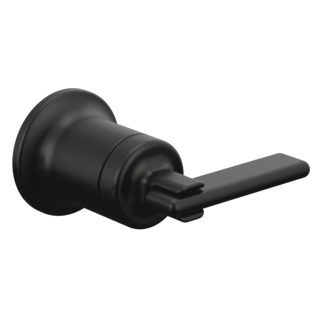 Brizo Allaria: Two-Hole, Single-Handle Wall Mount Lavatory Faucet Lever Handle Kit