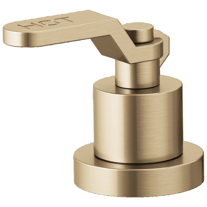 Brizo Litze: Roman Tub Handle Kit - Industrial Lever