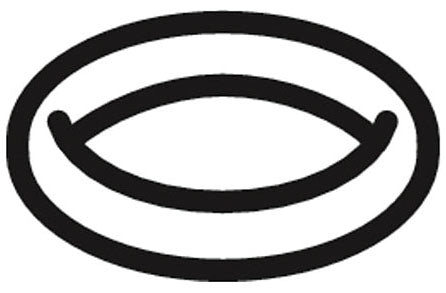 KOHLER O-Ring