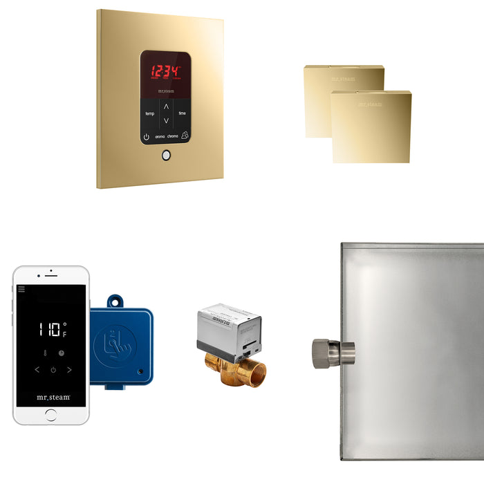 Mr. Steam MSBUTLERXSQ-PB MS Butler® Max Square in Polished Brass